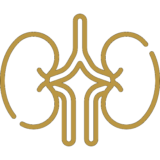 kidneys2