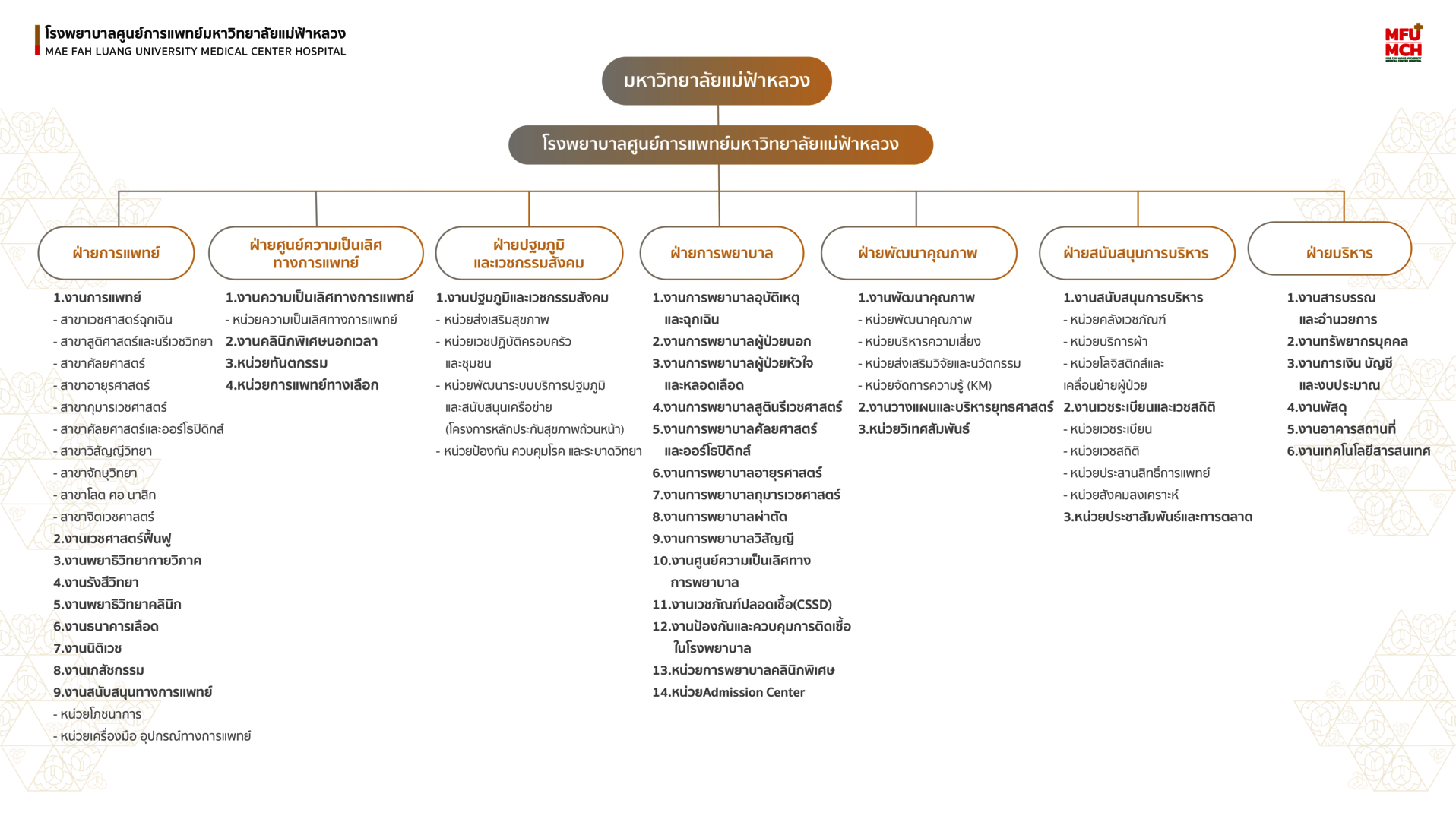 โครงสร้างองค์กร